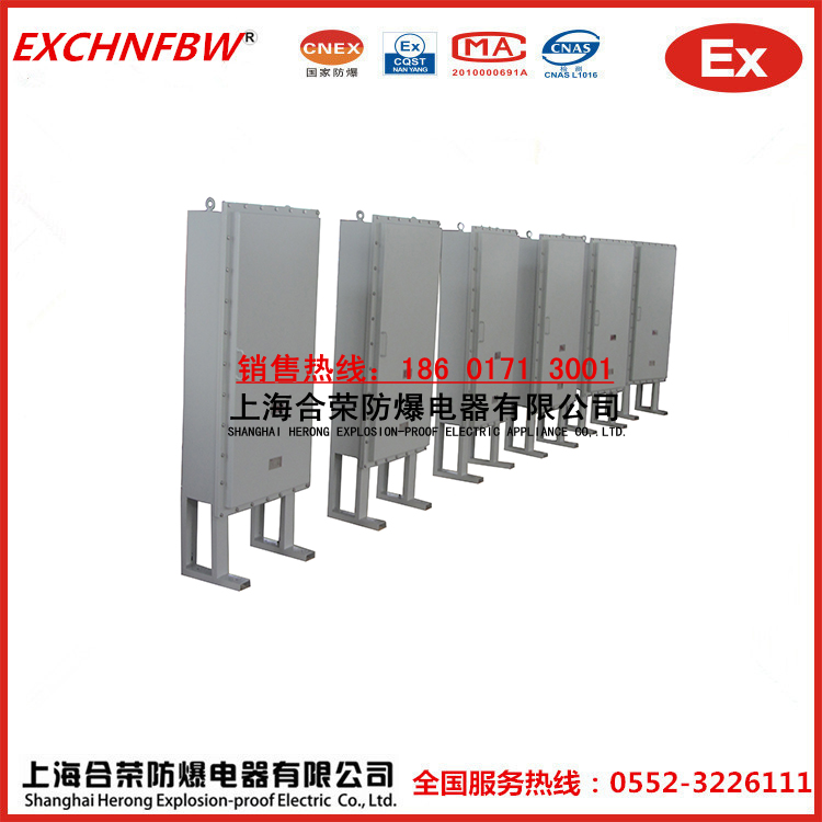 防爆單層門控制箱IIB