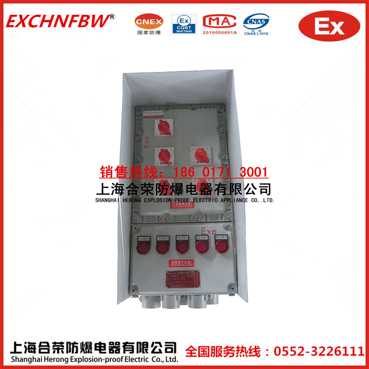 帶戶外雨罩防爆控制箱