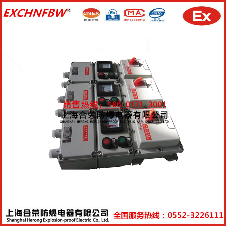 非標定制防爆控制箱防爆儀表箱