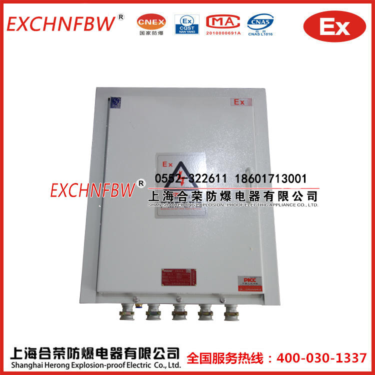 上海合榮防爆廠家直銷非標定制防